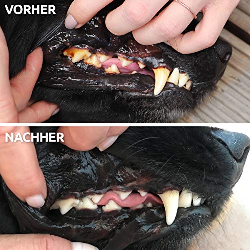 AniForte Sticks Anti-Sarro 220g para perros medianos y grandes - golosinas contra el olor de la boca, elimina y previene la placa, sin cereales, producto natural para dientes blancos