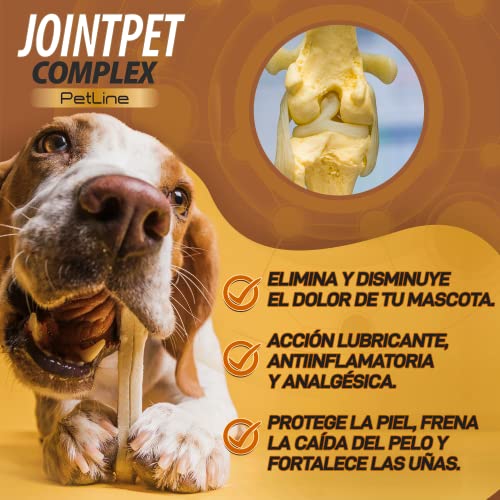 Antiinflamatorio para Perros y Gatos | Combate el Dolor y la inflamación en tu Mascota | Colágeno + MSM + cúrcuma + condroitina y magnesio para recuperar su Movilidad | 50 Unidades sin azúcar