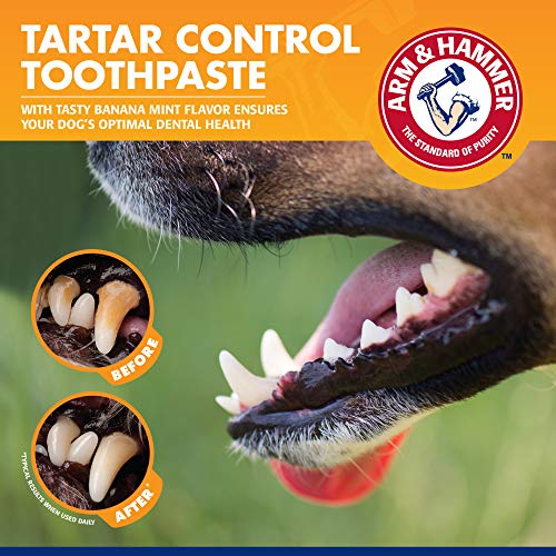 Arm & Hammer Tartar Control Dental Kit para Perros, Banana Mint White