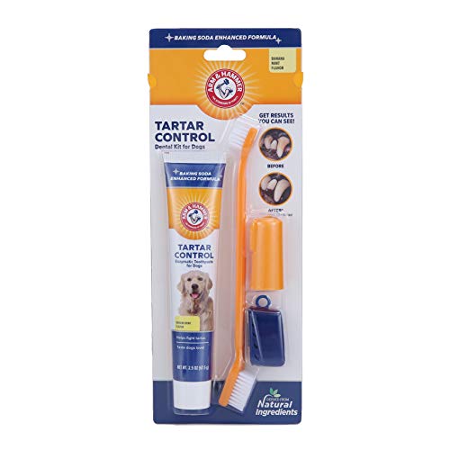 Arm & Hammer Tartar Control Dental Kit para Perros, Banana Mint White