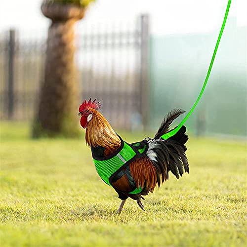Arnés de pollo ligero, arnés de pollo ajustable con correa y chaleco transpirable para mascotas y correa de entrenamiento para mascotas