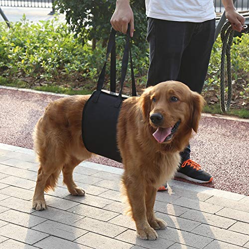 Arnés de seguridad portátil para perros negros, arnés de rehabilitación de asistencia de elevación con manija para ayuda canina(XL)