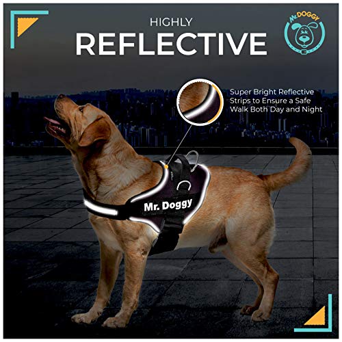 Arnés Personalizado para Perros - Reflectante - Incluye 2 Etiquetas con Nombre - Todos los Tamaños - De Calidad y Resistente (M 12-20KG, Negro)