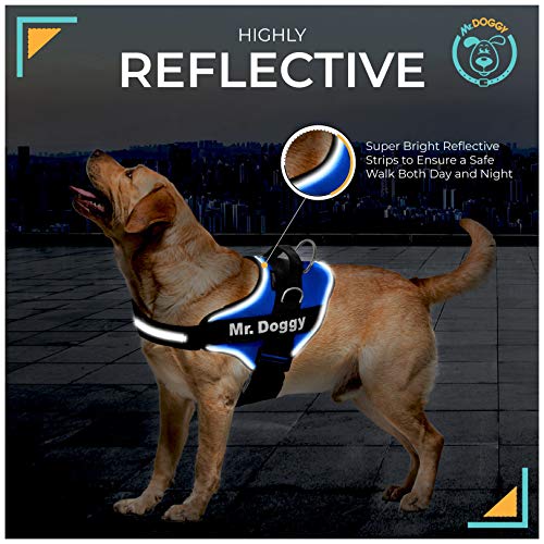 Arnés Personalizado para Perros - Reflectante - Incluye 2 Etiquetas con Nombre - Todos los Tamaños - De Calidad y Resistente (S 7,5-15KG, Azul)