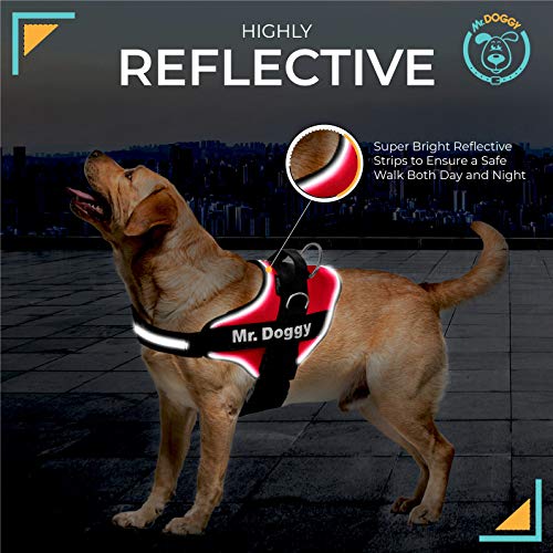 Arnés Personalizado para Perros - Reflectante - Incluye 2 Etiquetas con Nombre - Todos los Tamaños - De Calidad y Resistente (XXS 1,5-3,5KG, Rojo)