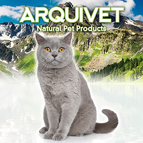 Arquivet Bandeja higiénica para Gatos Modelo Beta - Arenero para Gatos - Lecho higiénico para Gatos Abierto - Colores Surtidos - Caja de Arena para Gatos - 44 x 32 x 12 cm