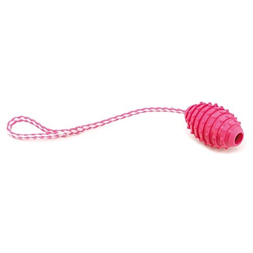 ARQUIVET Juguete Rosa con Tirador termoplástico para Perros - 10 cm - Juguetes para Perros de Razas pequeñas y Medianas - Mordedor para Perros - Dog Toys - Cuerda Tirador