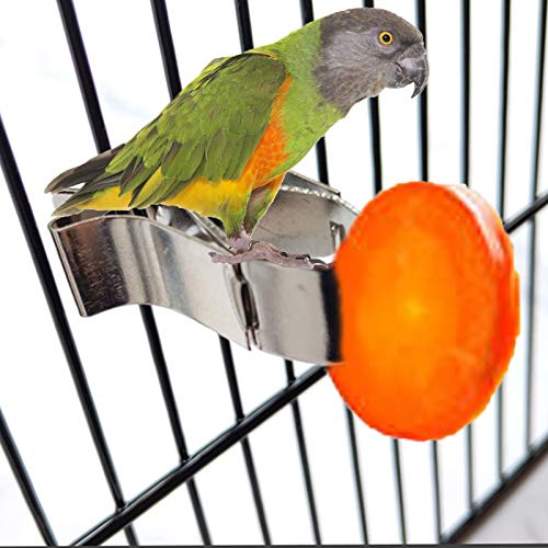 Aves Comida Titular Alimentador Dispositivo Pinza Pinza Jaula Pajaros Juguetes Loros Comedero Alimentador de Aves de Loro para Budgie Cages Pájaros Loros Periquitos Periquitos Cacatúas 2 Piezas