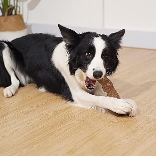 AWOOF Varilla para masticar para perros, juguete indestructible, hueso de madera con sabor a carne de vacuno, juguete para masticar para perros grandes y medianos