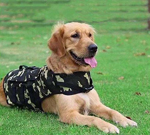 babydog Ropa Camuflaje para Mascotas Perro Otoño e Invierno Caliente Chaleco Chaqueta Jacket Abrigo (Beige, 6L)