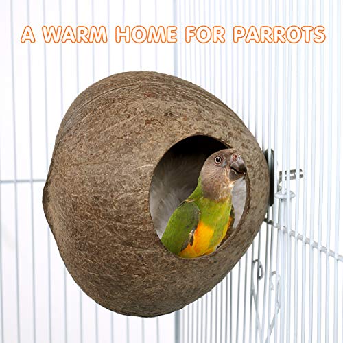 Balacoo Casa de Aves de Cáscara de Coco - Cáscara de Coco Natural Nido de Pájaro Jaula Jaula Lugar de Cría para Periquitos Loros Mascota (Sin Pelusa Blanca)