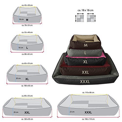 BedDog® 2en1 colchón para Perro MAX Quattro XXXL Aprox. 150x110 cm, 8 Colores, Cama, sofá,Cesta para Perro, Beige/Marron