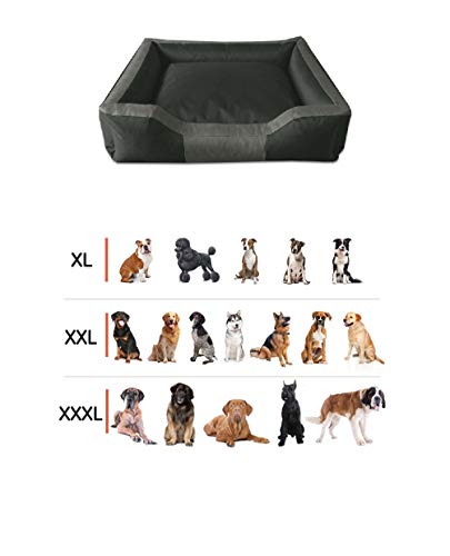 BedDog® Bruno Negro/Naranja XXXL Aprox. 150x110cm colchón para Perro, 15 Colores, Cama para Perro, sofá para Perro, Cesta para Perro