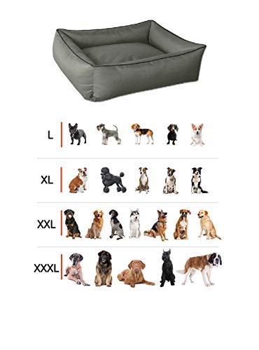 BedDog® colchón para Perro MAX XXXL Aprox. 150x110 cm, 8 Colores, Cama, sofá, Cesta para Perro, marrón