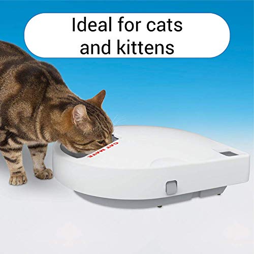 Beeztees K&Bz Cat Mate 365 Alimentador 420 g