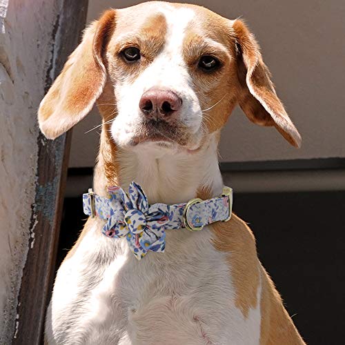 Beirui Collar de perro de niña de flores personalizado para perros femeninos- Collares de mascota grabados con hebilla dorada personalizada (patrón azul, S)