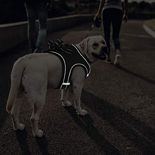 Belababy - Arnés para perro sin tirones, cómodo y transpirable, reflectante para perro, arnés extra suave de malla para mascotas, arnés de entrenamiento para pasear al cachorro
