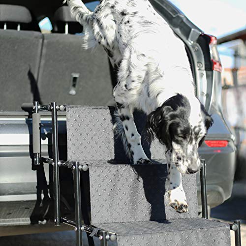 Bella & Balu Rampa para perros plegable – Escalera de perro para ayudar en la entrada y salida del coche.