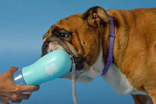 Best buds Bebedero portatil para Perro y Gato, Accesorios para Perros, Botella dispensadora de Agua para Mascotas, antigoteo con Filtro de carbón - Azul (Rosa)