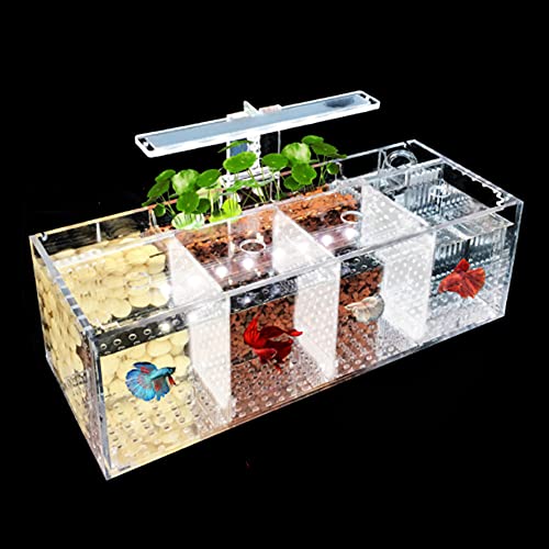 Betta Fish Tank Aquarium Material acrílico Mini pecera de Escritorio Kit de Cuencos con Bomba de Agua y Luces LED Autocirculación Tanque ecológico Sala de Aislamiento de Peces Enfermos (4 Rejillas)
