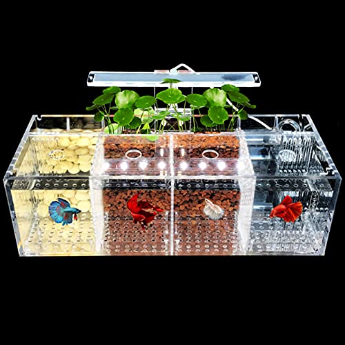 Betta Fish Tank Aquarium Material acrílico Mini pecera de Escritorio Kit de Cuencos con Bomba de Agua y Luces LED Autocirculación Tanque ecológico Sala de Aislamiento de Peces Enfermos (4 Rejillas)