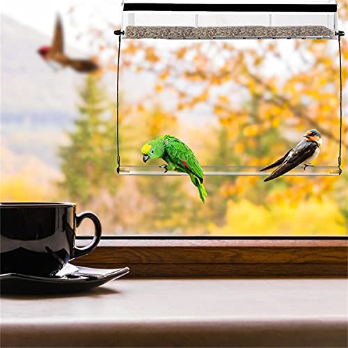 Binge Bird Feeder - Casita para pájaros para exteriores, con fuertes ventosas y cupelle para semillas, caseta para pájaros para exteriores, para aves silvestres, pinzones, cardenales y estrangulaos
