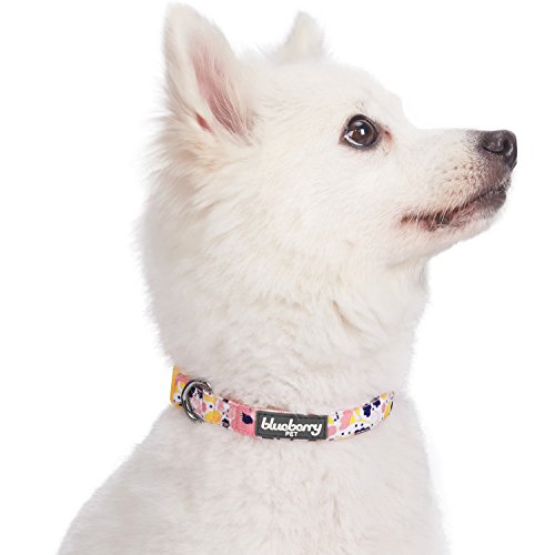 Blueberry Pet Made Well Blooming Floral Print Dog Collar in Creamy White for Small Dogs, S, Neck 30cm-40cm