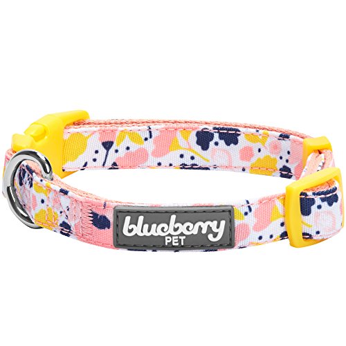 Blueberry Pet Made Well Blooming Floral Print Dog Collar in Creamy White for Small Dogs, S, Neck 30cm-40cm