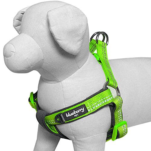 Blueberry Pet New 3M Reflective Step-in Pastel Baby Green Neoprene Paddd Dog Harness, Small