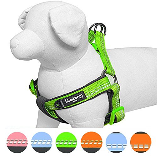 Blueberry Pet New 3M Reflective Step-in Pastel Baby Green Neoprene Paddd Dog Harness, Small