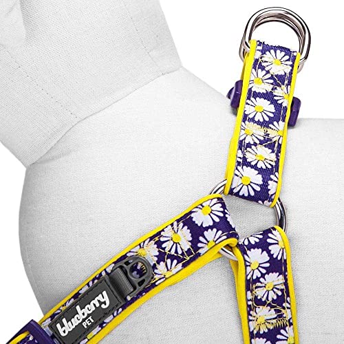 Blueberry Pet Step-in Daisy Prints Ultimate Adjustable No Pull Neoprene Padded Dog Harness, Chest Girth 51cm-66cm