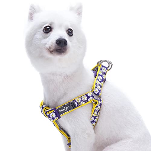 Blueberry Pet Step-in Daisy Prints Ultimate Adjustable No Pull Neoprene Padded Dog Harness, Chest Girth 51cm-66cm
