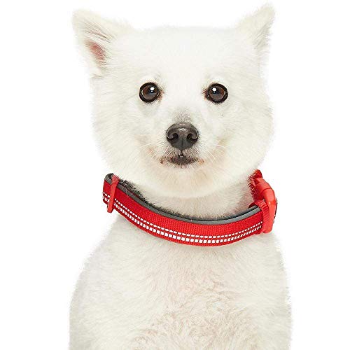 Blueberry Pet Suave y cómodo collar de perro acolchado de color pastel reflectante 3M, rojo, grande, cuello de 45 cm a 66 cm, collares ajustables para perros