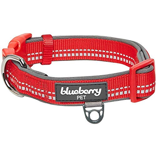 Blueberry Pet Suave y cómodo collar de perro acolchado de color pastel reflectante 3M, rojo, grande, cuello de 45 cm a 66 cm, collares ajustables para perros