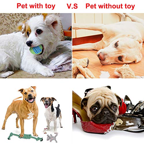 BOMPOW Juguetes para perros duraderos, juego de dentición para cachorros de algodón con nudos, juguetes para masticar para cachorros pequeños, 10 unidades