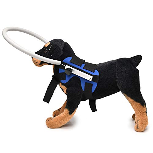 BORNET Blind Dogs Anillo Anticolisión para Mascotas Ciegas Arnés para Perros Guía De Cataratas para Pequeños Medianos Discapacitados Visuales Gatos Perros Cachorros Caminar Al Aire Libre,Blue-M