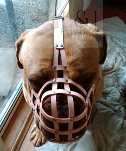 Bozal de perro de piel auténtica ligera para Rottweiler, mastín y otros hocicos similares (cuero natural, R1)
