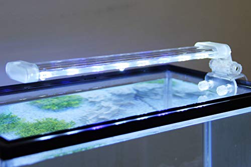 BPS Lámpara de Acuario LED Iluminación Luces para Plantas Luz Blanco y Azul 2 Modelos para Elegir 4W/8W (12W: 400 x 40 mm) BPS-6169