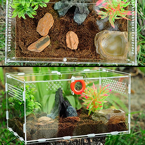 Braleto Caja de Alimentación de Insectos Reptiles para Arañas Lagartos Rana Cornuda Escorpión Escarabajo Milpiés (30cm*20cm*15cm)