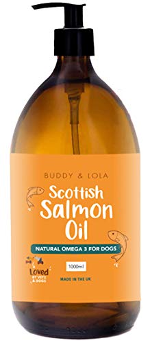 Buddy & Lola Aceite de salmón escocés 100% puro de grado alimenticio para perros, gatos y mascotas (1000 ml) – Omega 3, mejor piel y articulaciones, menos picazón y mejora la salud cognitiva
