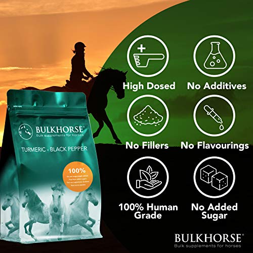 BULKHORSE Cúrcuma + pimienta negra | Cúrmérica para la función articular y la digestión, 100% libre de azúcares añadidos | 3000 g