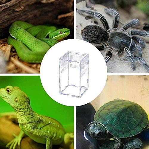 Caja de alimentación de insectos, caja de alimentación de reptiles de acrílico, caja de cría de vidrio transparente, caja de cría de terrario para mascotas insectos grillos