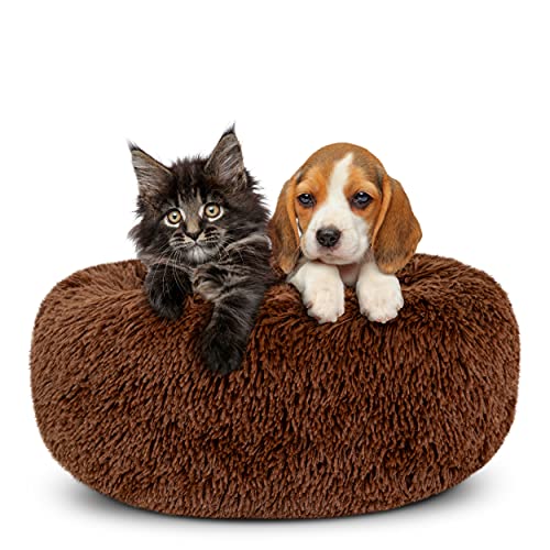 Cama de perro con sonido para dormir, cama extra pequeña, color marrón chocolate