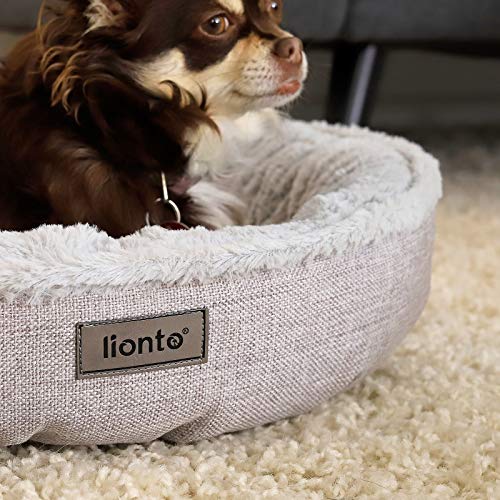 Cama Redonda para Perros cojín para Perros sofá Perros Cama con Forma de Donut (S) 55 cm Ø diámetro Externo Gris