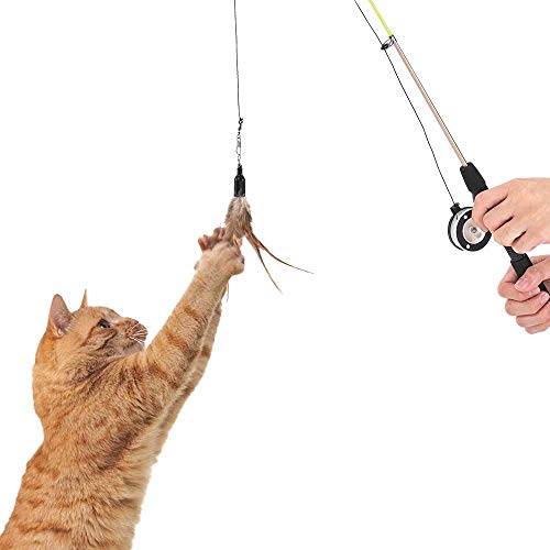 Caña de pescar telescópica para carrete de juguete para gato – Permite jugar con su gato y compartir los buenos Moments de juego – fácilmente manejable para gatos de todas las edades