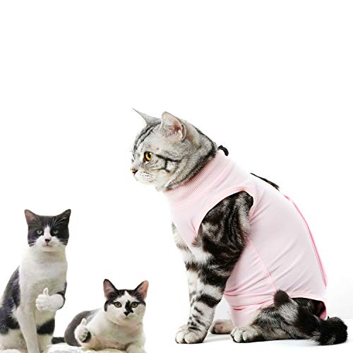 CandyCare Mascotas Traje de recuperación quirúrgica para Gatos, Destete Ropa Chaleco pequeño Mediano Grande Gatos, Anti lamida con Sonaja y DIY Anti-Lost Número Celular Rosa M