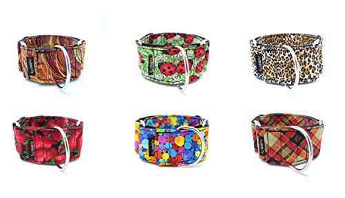 candyPet® Collar Martingale para Perros - Modelo Universe, L