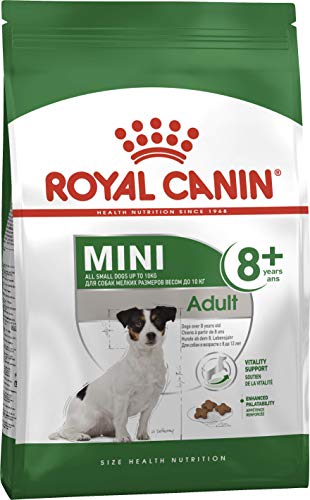 Canin Royal Mini Adulto 8+ Alimentos Secos 2kg para Perros de Raza Pequeña 1-10kg con Antioxidante Complejo de Combate Signos de Envejecimiento y Receta Especial Fácil Control de Peso