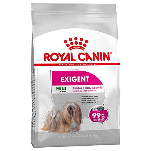 Canin Royal Mini Exigent - Alimento para perros de razas pequeñas (2 x 3 kg, para prevención de sarro óptimo)