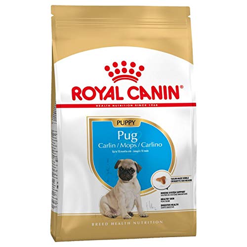 Canin Royal Pug Puppy hasta 10 meses, 3 x 1,5 kg, especialmente a medida para alimentos secos, soporte para la piel y el abrigo, digestión y salud del sistema inmunológico, con proteínas digeribles